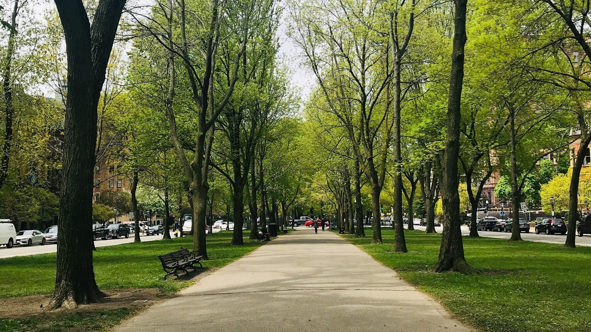 Park med grussti